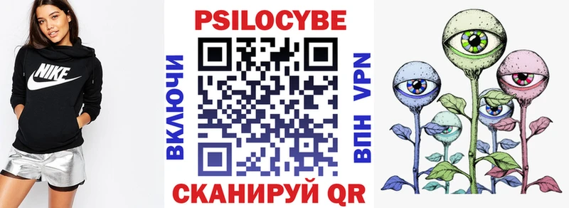 Псилоцибиновые грибы Psilocybe  MEGA маркетплейс  Змеиногорск 